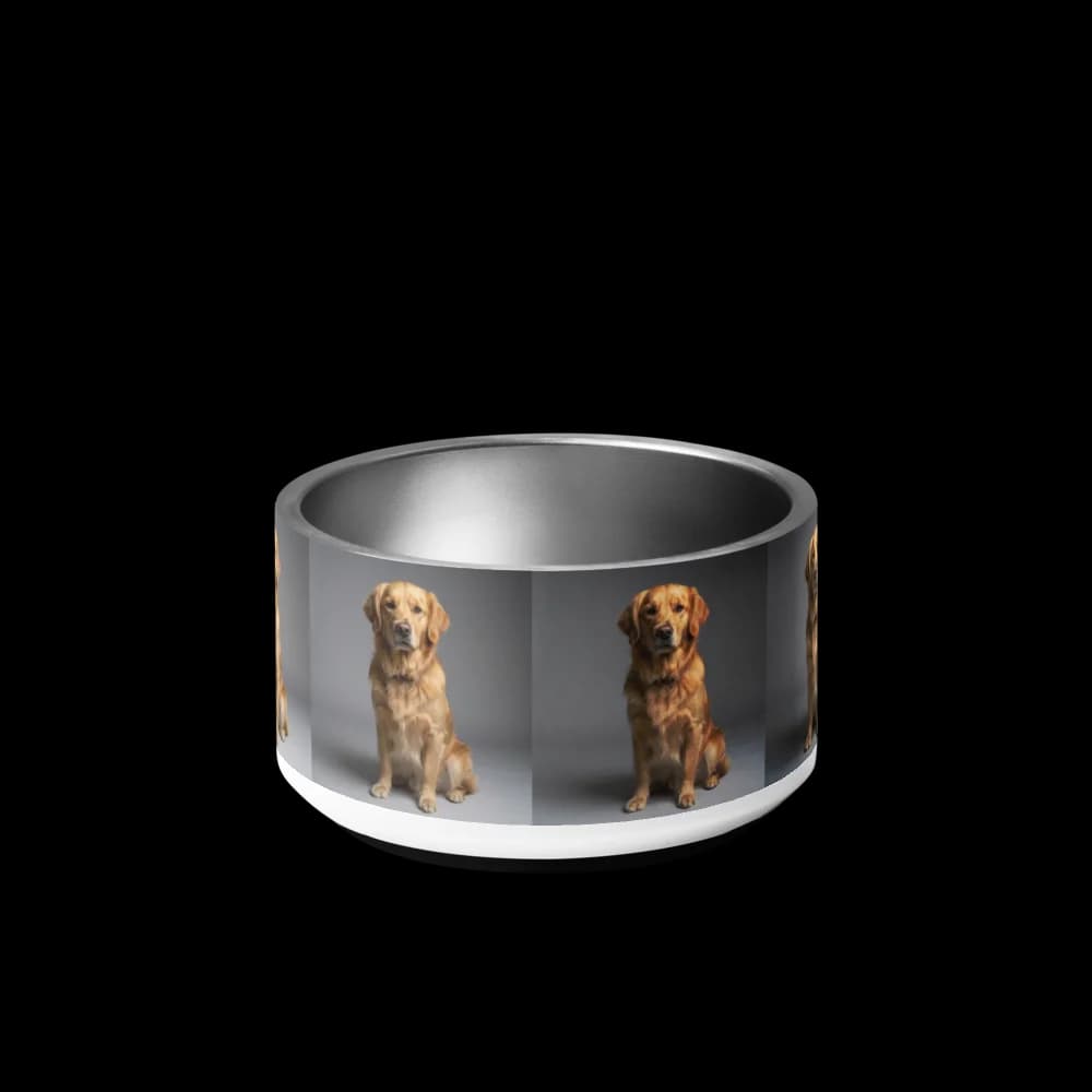 Pet Bowl