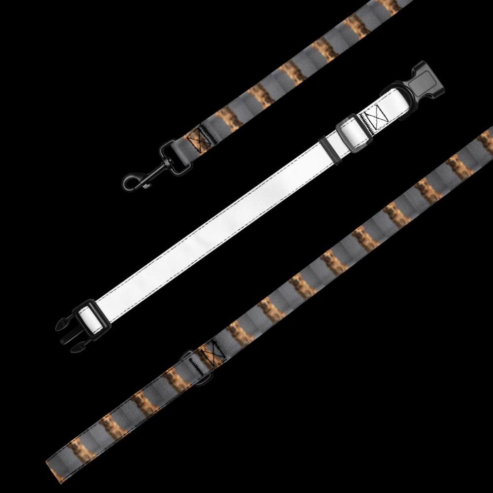 Collar & Leash Set