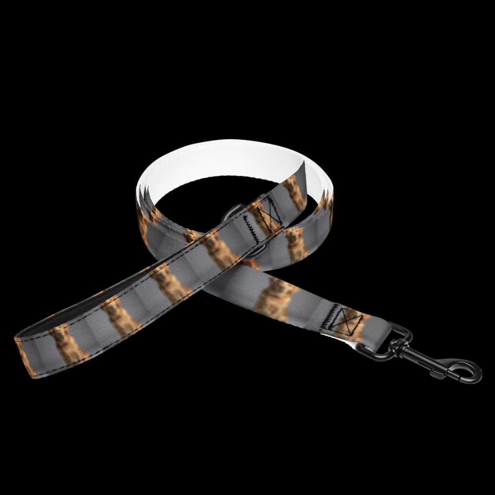 Pet Leash